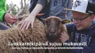 Luokkaretki Ähtäri Zoossa