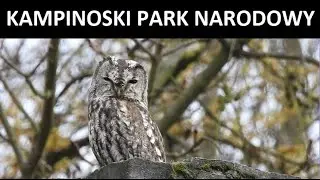 Kampinoski Park Narodowy - część wschodnia