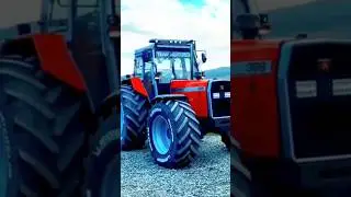 MF 399 &ndash; THE CLASSIC BEAUTY