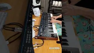 Home - Resonance (Summit Synthesizer) #musicproducer #synth #wearenovation #novationsummit