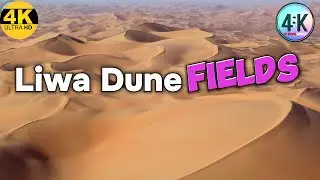 SCREENSAVER 4K | Mac OS ScreenSaver | Liwa Dune Fields