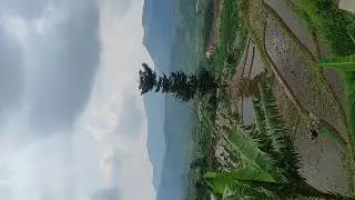 vk3
