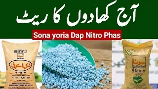 Dap sona yoria nitro phas khad price today