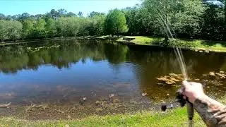 How to catch BASS in over fished ponds! #urbanfishing #bassfishing #pondfishing