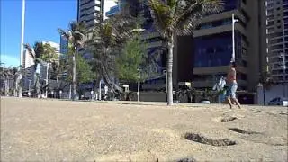 Mauricio Campos - Flash com 8 garrafas - (NEW)