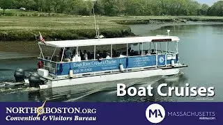 Whale Watches and Water Cruises North of Boston