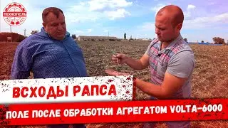 Поле после обработки агрегатом VOLTA-6000 и деструктором