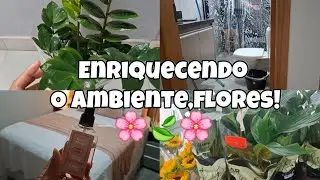 LIMPEZA NO QUARTO//LAVEI BANHEIRO✨️PLANTINHAS PARA CASA🥰🍃