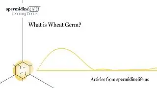 What Is Wheat Germ? | Health Benefits of Wheat Germ