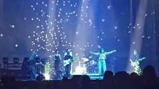 Kl&aacute;ra Vytiskov&aacute; - Strom (Praha, O&sup2;arena 6.11.2025)