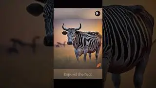 Zebra Pattern on Cow 🤯 || #facts
