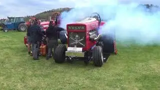 T.L.M Red Rooster pr&oslash;vetr&aelig;k Gl  Estrup 2018