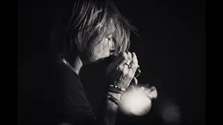 Beck Zoli - Újra él | K11 2023.02.22.
