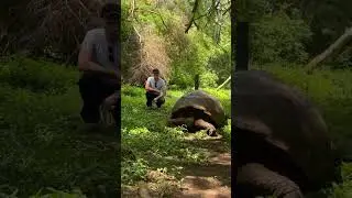 Creatures of the Galapagos. So much amazing wildlife to be seen. #jetsetsolution #galapagos