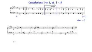 Extended Chords or Interaction of Harmony and Non-Harmony Notes? An Example by F. Liszt