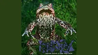 Limp (Not) Least the Lithobates Heckscheri Oxbow