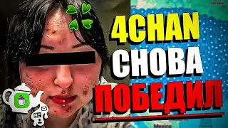 ЧАЕХЛЁБКИ ПОЛУЧАЮТ ПО ЗАСЛУГАМ! | Tea Dating Advice VS. 4chan