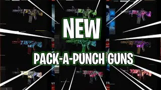 Pack-a-Punched Guns in Cold War Multiplayer