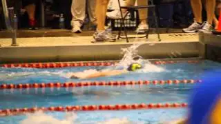 Titans Advance to KHSAA State Swim Meet 2014