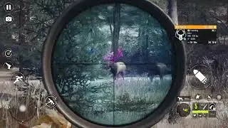 Duck Hunting 3d: Hunting Games