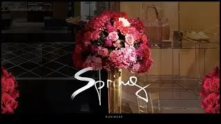 Business Spring