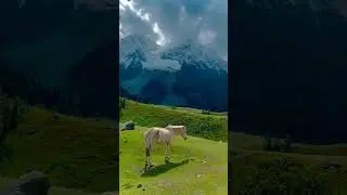 This is Not Swaziland This is Kashmir Pakistan 😊❤✌| #pakistan #youtubeshorts #naturebeauty