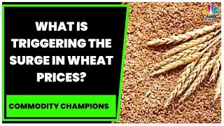 What Is Triggering The Surge In Wheat Prices? Experts Discuss | Commodity Champions | CNBC-TV18