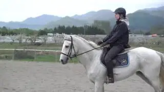 Tsuchiya Clinic -- Show Jumping, May 2016 (Full)