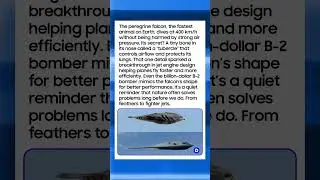 Fastest Animal Inspired Jet Engine Design