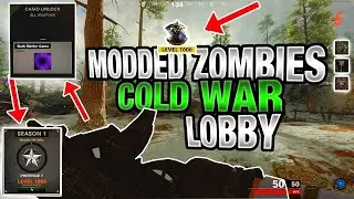 Cold War XP Lobby MAX LEVEL 10&euro;/10$ (PS4/XB1/PC) 🔥🔥🔥