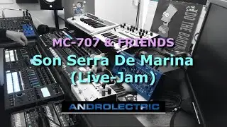ROLAND MC-707 :: Son Serra (Live-Jam) :: DAWless with AIRA / Volca FM / SH-01A / monologue / microX