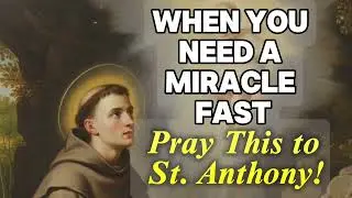 When You Need a Miracle Fast &mdash; Pray This to St. Anthony!