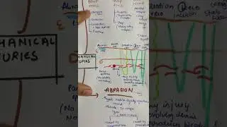 Mechanical injuries part 1 ! Classification of wounds :) Forensic medicine ✍️