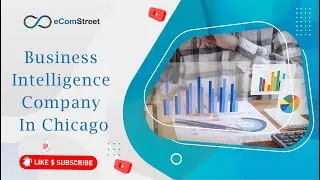 Business Intelligence Company Bi Developer Consultant data system analytics 2022 | eComStreet