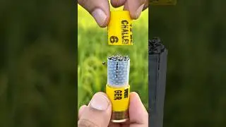 Rare Color Birdshot #ammo #gun #review