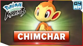 Где найти ЧИМЧАРА и как его поймать в Pokemon Legends Arceus