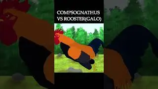 Compsognathus vs Rooster  #anima&ccedil;&atilde;o #animation #dinosaur #dinosaurus #rooster #compsognathus #fight