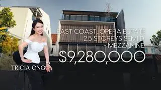 Opera Estate - Freehold Brand New 2.5-Storey + Mezzanine Semi-Detached House in D15 | $9,280,000