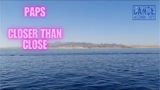 PAPS - Closer Than Close