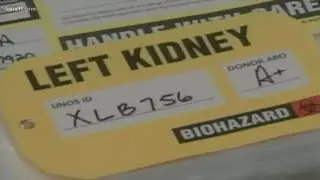 Kidney transplant alternative research gives transplant patients on the waiting list new hope