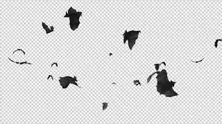 Bats - Swarm Flying Around - Loop | Motion Graphics - Videohive template