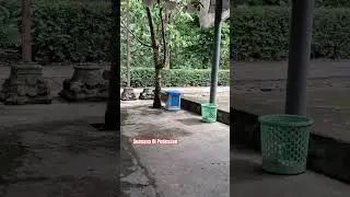 Suasana Hening Di desa #pedesaan #desa #nature #suasanapedesaan #wildlife