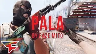 PALA By FaZe Mito (CS GO FRAG MOVIE)