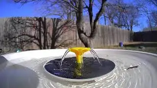 📡 LIVE: Backyard Birdfy Bird Bath &ndash; Wichita, Kansas 🐦 | RTMP Livestream