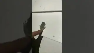 Frog Laughing Meme 😂 #shorts #funny #meme