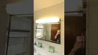 1970s Switch & Fluorescent Ballast PURE SOUND