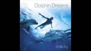 Dolphin Dreams - Dan Gibson & Roger Saint-Denis