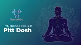 Influencing Factors of Pitt Dosh | Gaurashtra.com
