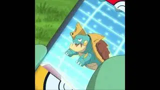 Drednaw THE BITE POKEMON!!