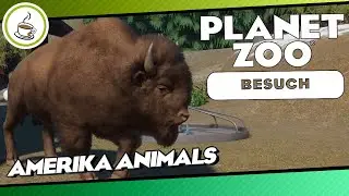 Amerika Animals von checkermausle &laquo;&raquo; Planet Zoo Community Besuch 🏕 | Deutsch | German